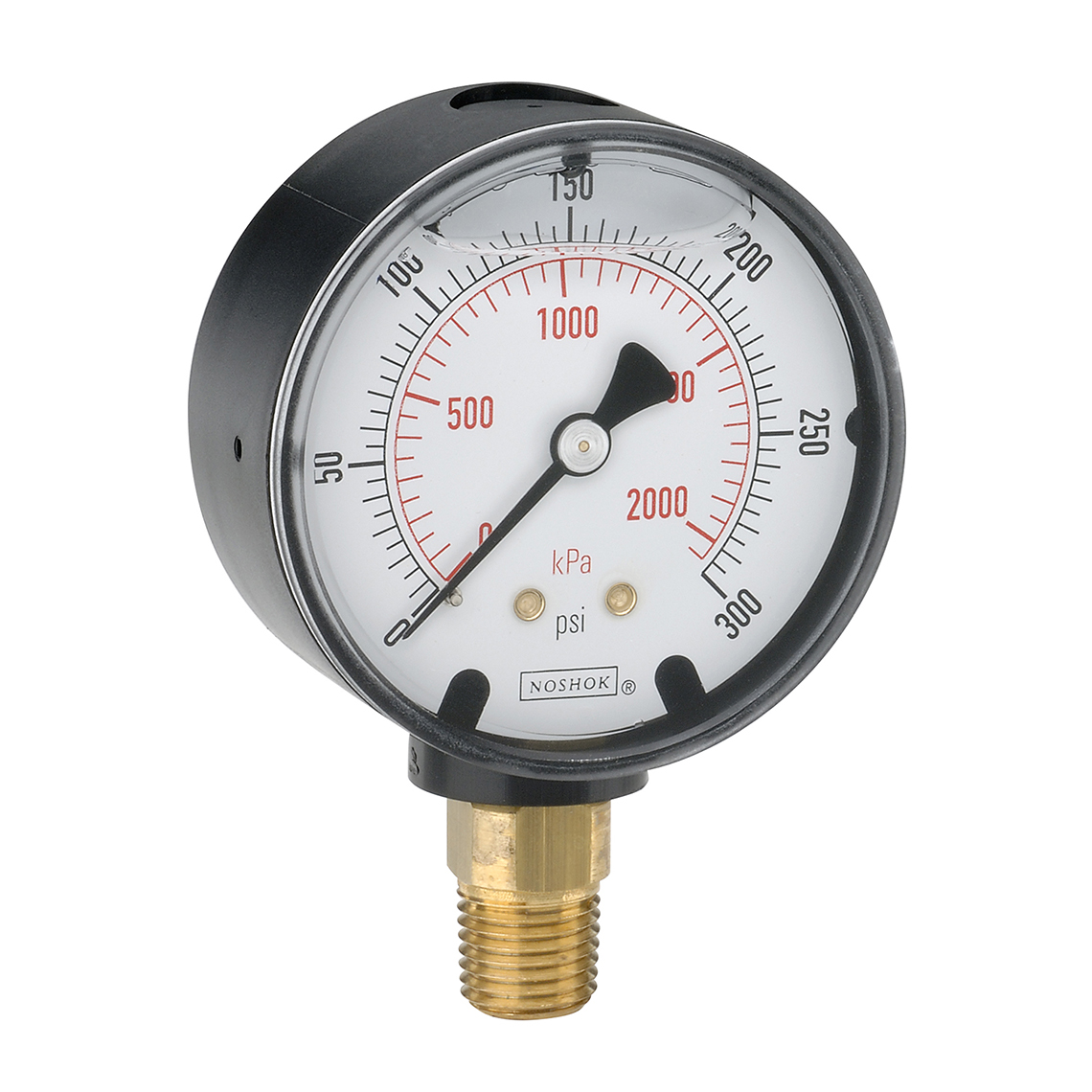 25-901-10000-psi/bar